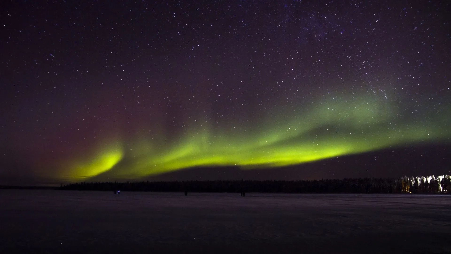 Large bande d'aurore verte posée sur une forêt de conifères, au-dessus d'un lac gelé, sous un ciel violet piqué d'étoiles